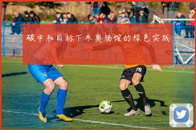 碳中和目标下冬奥场馆的绿色实践