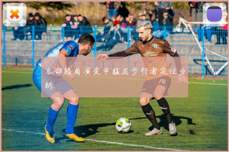 东部格局演变中猛龙步行者定位分析