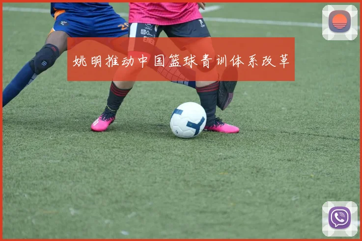 姚明推动中国篮球青训体系改革